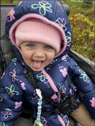 Butterflies, Bunnies, and Hedgies activities